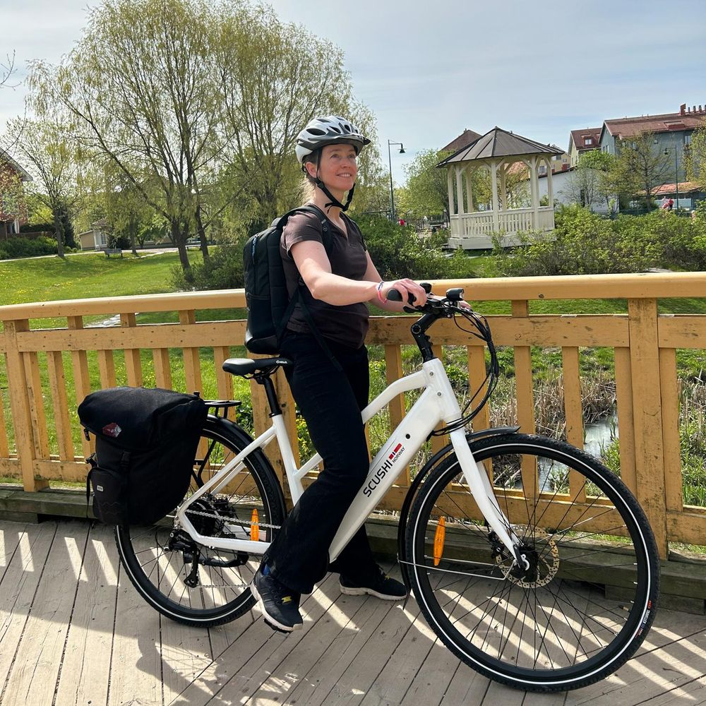 Norway Universe Elsykkel, hvit (360 Wh batteri)