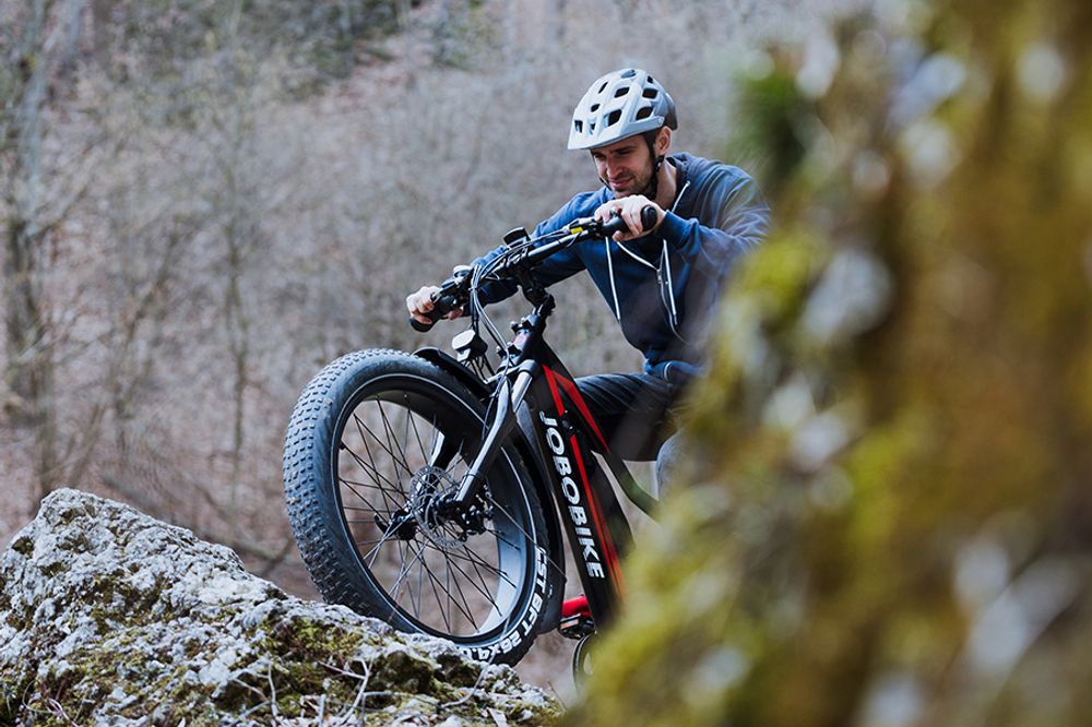 JOBOBIKE Robin PRO elsykkel fatbike 250W - 180km